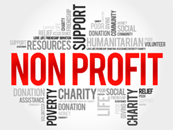 Not-for-Profit Consulting